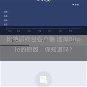 比特派钱包客户端 选择Bitpie的原因，你知道吗？