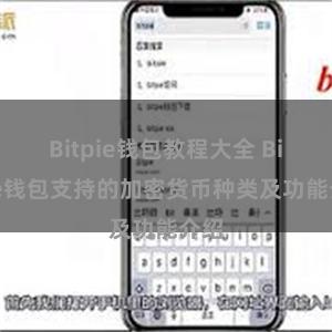 Bitpie钱包教程大全 Bitpie钱包支持的加密货币种类及功能介绍