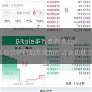 Bitpie多币支持 Bitpie钱包支持的加密货币种类及功能介绍