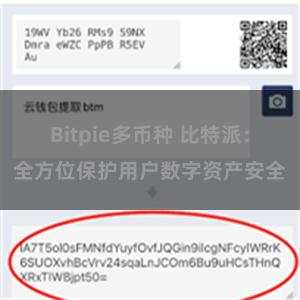 Bitpie多币种 比特派：全方位保护用户数字资产安全