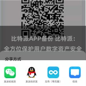 比特派APP备份 比特派：全方位保护用户数字资产安全