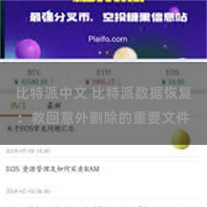 比特派中文 比特派数据恢复：救回意外删除的重要文件