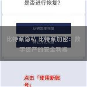 比特派隐私 比特派加密：数字资产的安全利器
